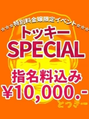 【トッキーSPECIAL】：いちゃいちゃパラダイス姫路店(will-next group)(神戸・三宮高級デリヘル)