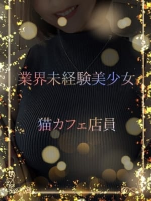 未経験の猫カフェ店員：ASK TOKYO(六本木・赤坂高級デリヘル)