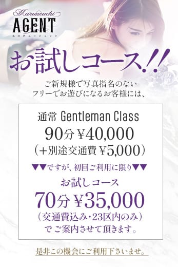 お試しコース！！：丸の内Agent(銀座・汐留高級デリヘル)