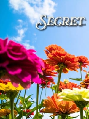 みれい：贅沢なひと時(新宿高級デリヘル)